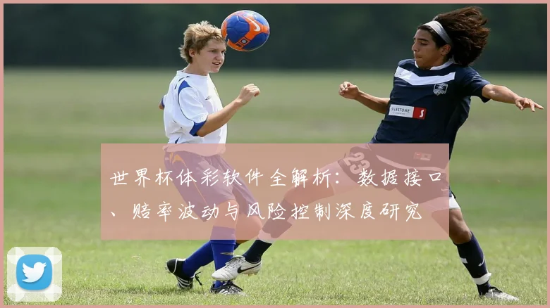 世界杯体彩软件全解析:数据接口、赔率波动与风险控制深度研究
