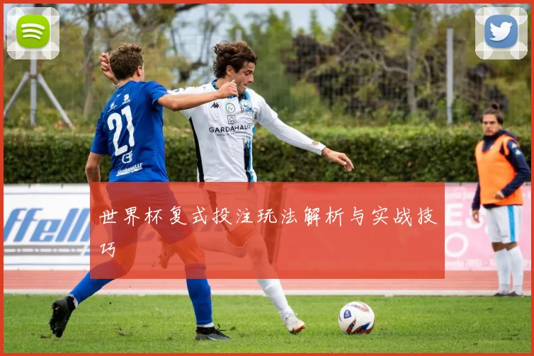 世界杯复式投注玩法解析与实战技巧