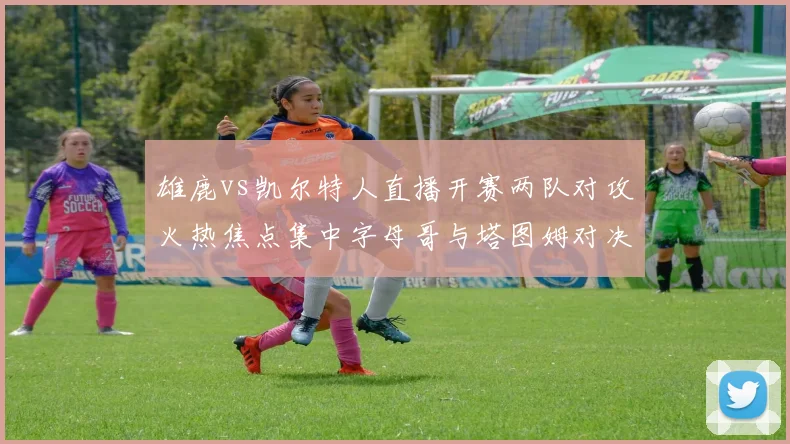雄鹿vs凯尔特人直播开赛两队对攻火热焦点集中字母哥与塔图姆对决