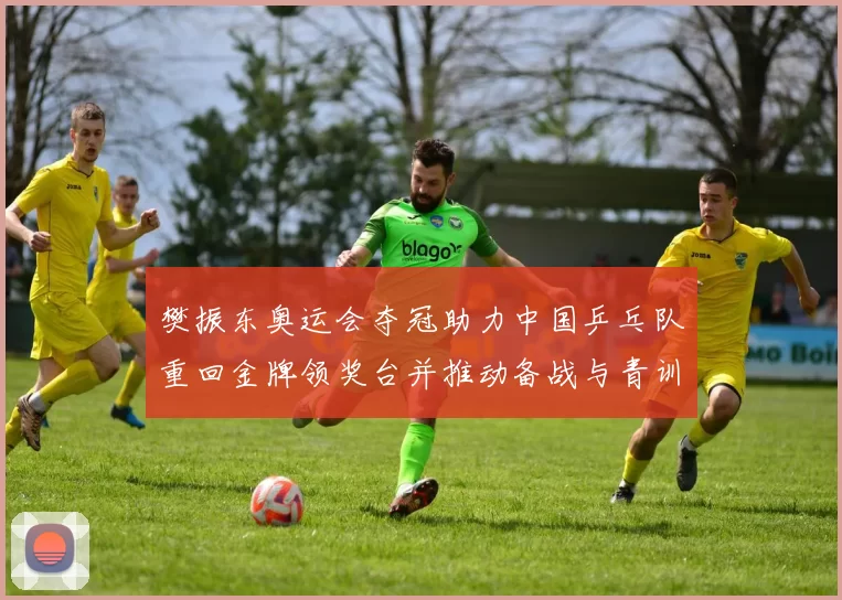 樊振东奥运会夺冠助力中国乒乓队重回金牌领奖台并推动备战与青训调整